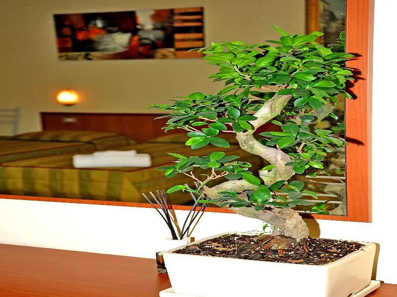 **  Hotel San Siro Fiera Milano İtalya